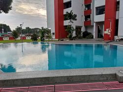 Tan Tong Meng Tower (D11), Apartment #573875841